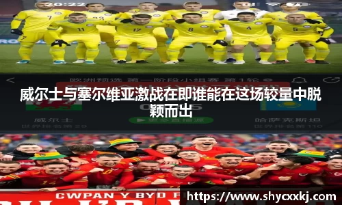威尔士与塞尔维亚激战在即谁能在这场较量中脱颖而出
